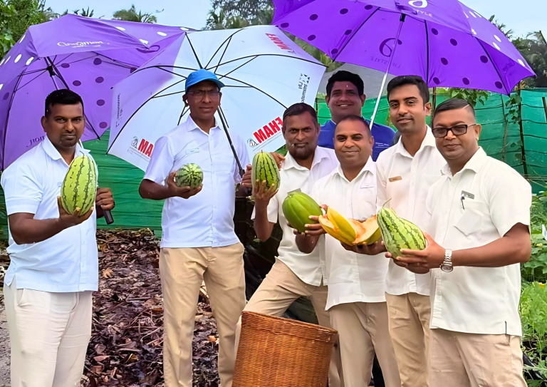 Organic farming at Cinnamon Dhonveli Maldives – Hotelier Maldives