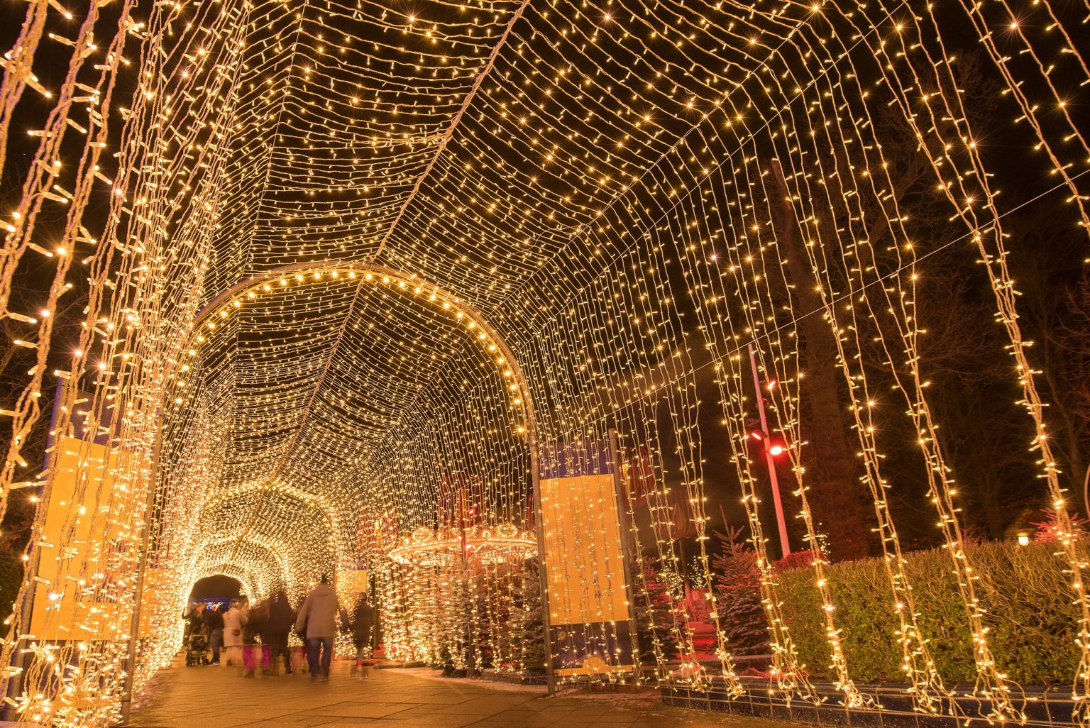 TPG’s guide to 13 of the best holiday light shows in the U.S.