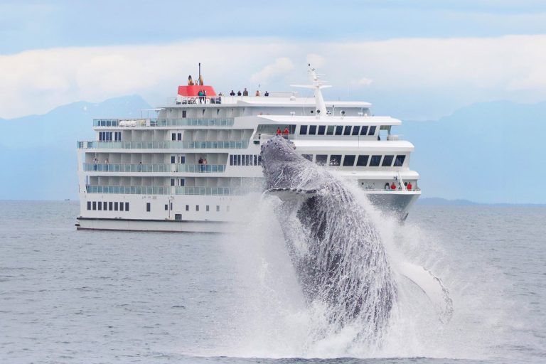 This cruise line will add Glacier Bay overnights as it doubles capacity in Alaska