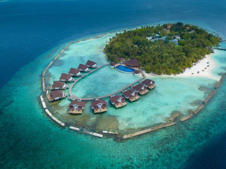 Tiny turtles begin their journey at Ellaidhoo Maldives by Cinnamon – Hotelier Maldives