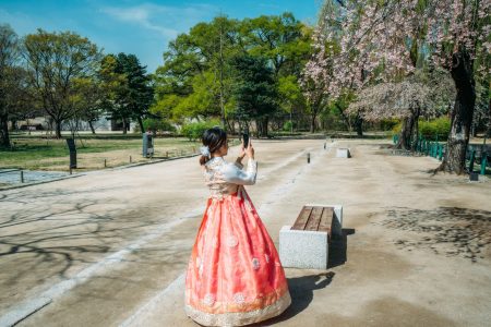 The best places in the world to see cherry blossoms